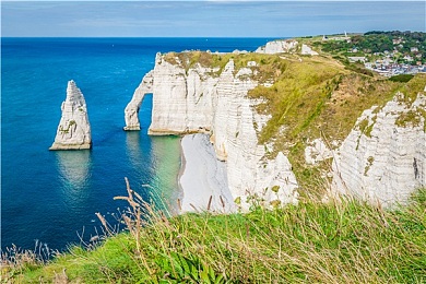 粉色苏州晶体丝瓜:霓虹园林幻境,樱华蜿蜒竞速诗篇-3