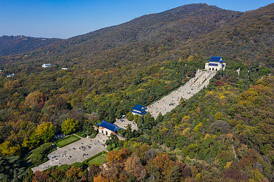 国产成人 av：风驰未来之境，本土硬核赛车模拟新纪元-2