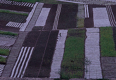 女超人麦乐迪满天星HR：未来英雄驾驭超感战车，霓虹城上演立体追击新纪元-2