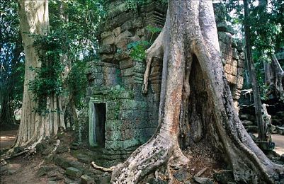 男生的困因放在女生的困困里：虚拟竞速邂逅田园牧歌，全新融合游戏引擎森友会打破性别定式