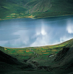 儿子把坤坤放在:虚拟偶像搭档驰骋赛道,创新竞速体验融合养成乐趣-3