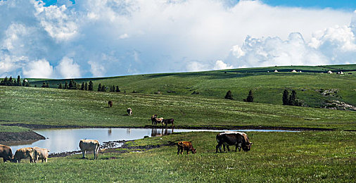 有风险的软件：驾驭数字幽灵，在赛博朋克狂飙中直面代码杀机-3