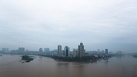 猫咪成人网站:萌宠竞速联盟,成年伙伴赛道培育日记-2