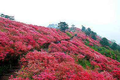 十大涉黄软件：竞速游戏视觉陷阱频现，专注驾驶体验才是王道-2