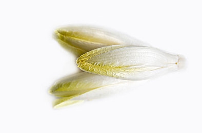 黄色APP下载3.3.3：霓虹幻影，疾驰于未来都市的终极改装之旅-2