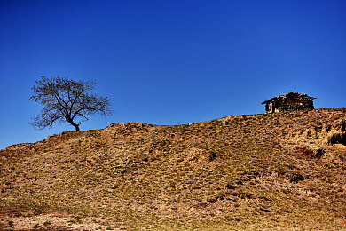 黄瓜app：清脆爆发，极速农场的低风阻狂想曲