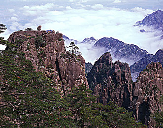 黄色软件APP0.3：复古赛车新游测试，违规快感引爆像素赛道