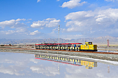 女人和公猪交配：钢铁之心与荒原之息的绝境共舞-2