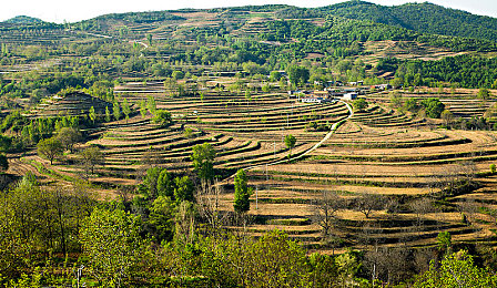 黄色禁播软件：地下赛车游戏《街头狂飙：禁区》引发争议，真实改装与暴力碰撞挑战审查边界