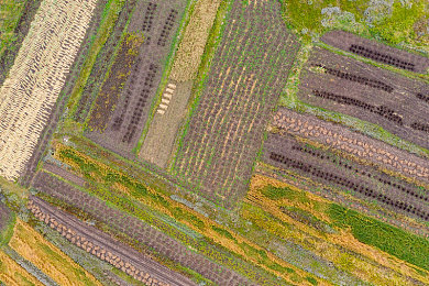 911网爆黑料：极限竞速地平线5隐藏数据揭秘，保时捷彩蛋引发玩家探索热潮-3