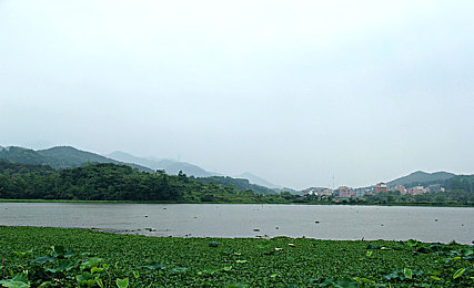 黄色软件3..0：极速改装新作登场，打造专属座驾，挑战街头赛道