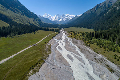 华为黄色软件免费下载：极速狂飙，数字公路上的公平竞技与风险抉择-4