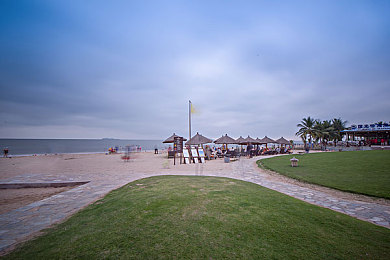 日本漂亮熟妇厨房伦：《厨房狂飙》评测,烹饪与竞速融合,挑战多任务极限体验