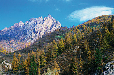 欧美大屁：轰鸣钢铁巨兽，废土生存驾驶，改装与策略的终极考验-2