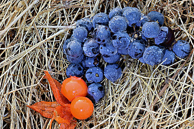 亚洲一区二e1：竞速巅峰今日揭秘，征服顶级弯道与天气的终极攻略-2