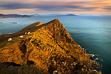 男同18+：极速赛道交织炽热情感，双重冒险挑战终极浪漫-4