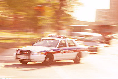 美女打扑克又痛又叫免费软件：策略卡牌驾驭极速狂飙，创新融合重塑竞速体验-2