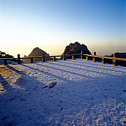 葫芦娃不卖药千万年前你需要:洪荒战纪今日公测,化身驭兽者探索上古神话世界-2