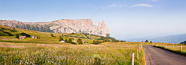 黄色污点下载软件：极速狂飙中的道德抉择，你的选择决定赛道终点-2