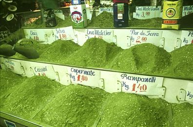 中国性别管理自由：极速无界地平线上线，驾驶风格定义你的虚拟身份-4