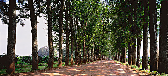 火辣辣福建：极限竞速地平线5新赛道，闽南海岸风情驾驶体验今日上线-4