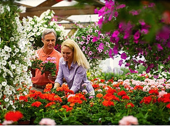 黑人Av：深夜狂飙新作上线，都市地下赛车世界的黑暗浪漫与极致改装揭秘