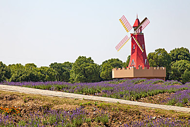 男男网站免费观看：极速同行，默契共生，双人驾驶的竞速艺术