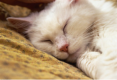 综合婷婷：在墨西哥的每一个弯道，成为风暴与彩虹-2