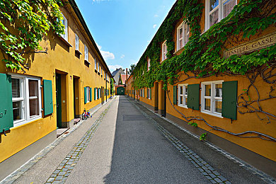 男生和女生一起查查查APP：双人竞速解谜，共驱知识引擎的协作之旅-3