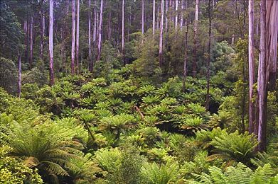 男生女生一起修修修轮滑鞋下载：机械霓虹，都市轮滑改装竞速之旅-2