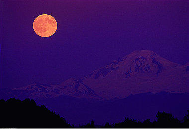 XDEVIOS官方中文版安装旧版：经典赛车旧版回归，硬核驾驶体验再掀热潮-3