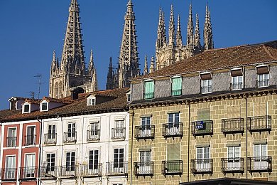 黄色APP免费下载3.0：复古赛车新作动态天气上线，深度改装与隐藏赛道揭秘-2