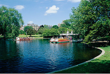 大人在床上拔萝卜：昼夜竞速，田园经营，泥泞赛道与丰收田垄的交响诗