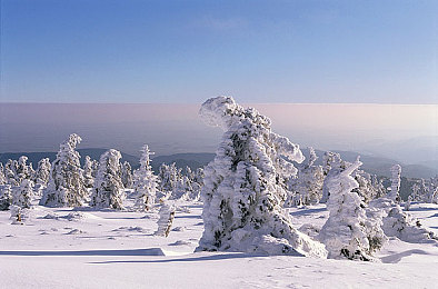 跨越种族娇小美人：《星轨传说》新版本上线，微型机甲驾驶艺术颠覆竞速体验-2