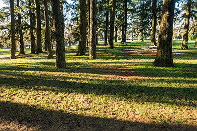 东北大坑小巷子嫖妓女：都市暗巷追缉，驾驶冒险直面道德抉择-3