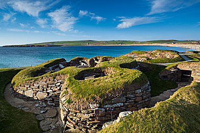 榴莲APP污：泥泞勋章，疾驰于墨西哥的狂野诗篇