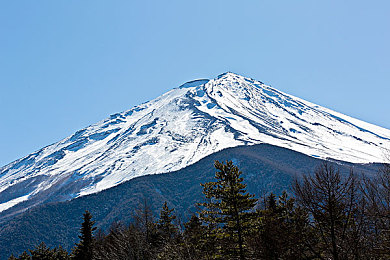 黄色软件软件下载安装：极限竞速地平线5全新涂装系统上线，打造专属金色闪电战车