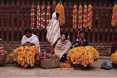 黄色APPOPPO：视觉加速器引爆赛道，高饱和色彩优化竞速游戏沉浸体验-2