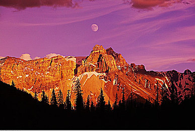 十大禁止安装应用入口在哪里安装：《赛博朋克2077》隐藏改装程序曝光，玩家安装或致存档崩溃-2