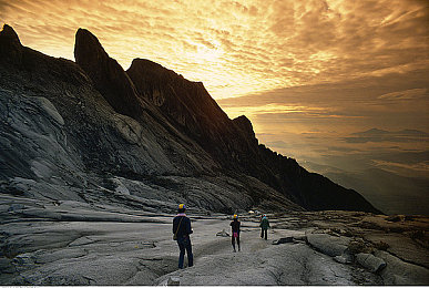 黄色软件Oppo大全：极品飞车热度深度解析，打造冠军改装车的终极攻略与同款游戏推荐-2