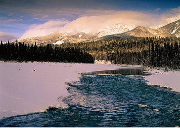 两个人看的www中文在线观看视频：双人极速之旅，共享视觉盛宴的虚拟驾驶艺术-4