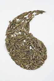 中国男同网：华风夜幕，极速同好者的改装传奇-2