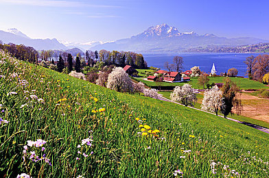 网站我的意思你懂：极限竞速地平线，你的终极数字车库与竞速乐园-2