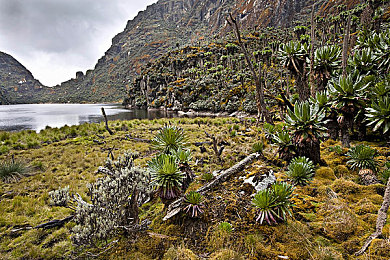 原神女角色失去尊严：当战斗美学流转于版本更迭之间-2