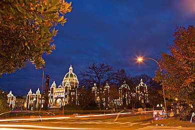 黄色应用下载链接：地平线5全新攻略，揭秘黄金涂装获取与性能调校秘诀