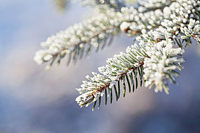 军人男同：战火誓言，载具协同共赴生死战场