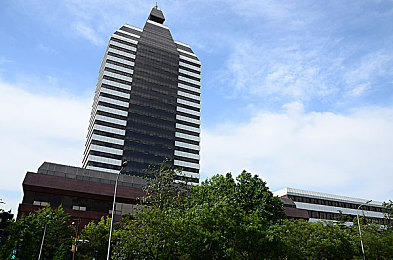 男生和女生操操的软件：双人协同驾驶革新竞速游戏，极速搭档今日开启同步狂飙