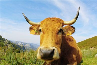 OPPO手机如何下载黄色软件：极速驾驭新作，都市赛道上的黄色风暴现已登陆移动平台-3