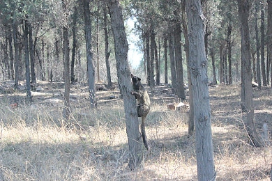 打扑克又疼又强：王牌车手，疾驰于策略与运气的交织之路-3
