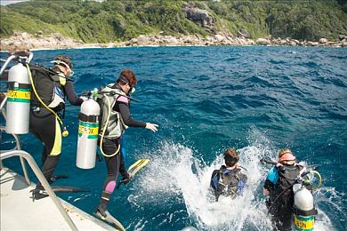 推特高危风险免费版安装下载：社交赛道极速破解，数据信使的逆袭狂飙